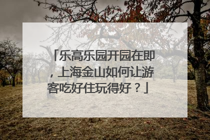 乐高乐园开园在即，上海金山如何让游客吃好住玩得好？